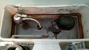 Iron Bacteria in toilet tank
